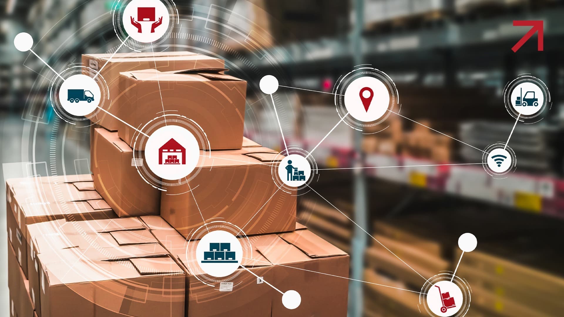 Transforming Elkay's Vendor Strategy case study