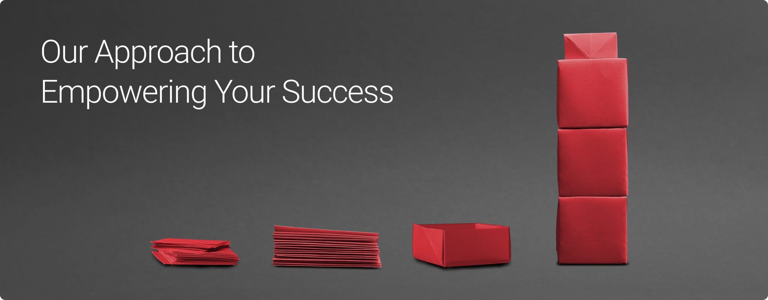 SSI strategic approach